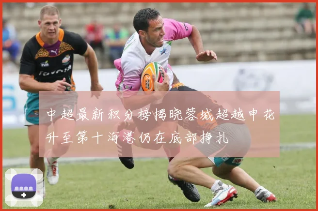 中超最新积分榜揭晓蓉城超越申花升至第十海港仍在底部挣扎