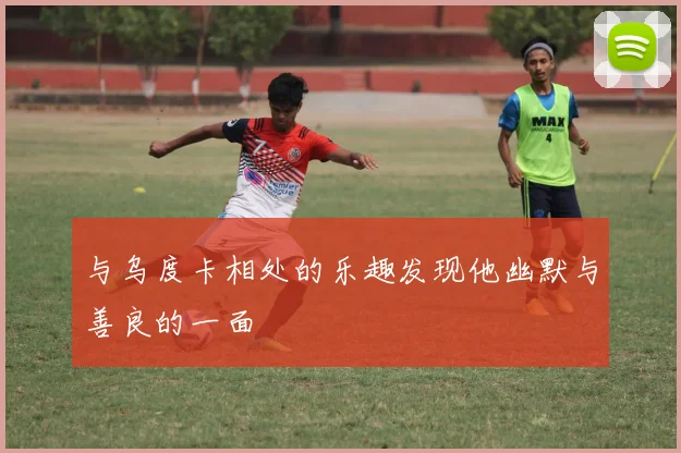 与乌度卡相处的乐趣发现他幽默与善良的一面